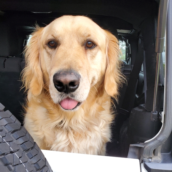 Suggested User!!! - Picture 3 of 5